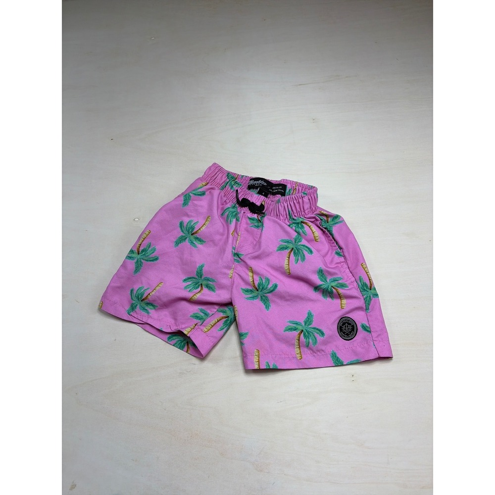 Brooklyn Cloth Boys Pink Palm Tree Shore Blvd Volley Swim Trunks Size 4